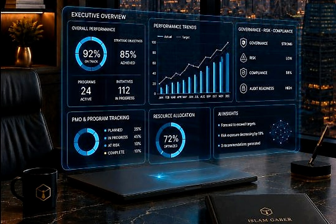 Performance Governance & Control Systems